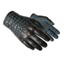 ★ Driver Gloves | Lunar Weave (Field-Tested)