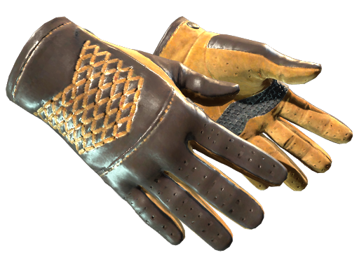 ★ Driver Gloves | Overtake (Factory New)