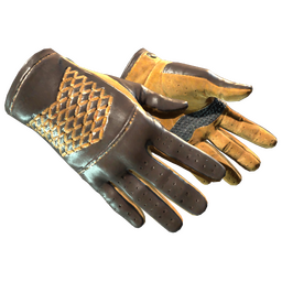 ★ Driver Gloves | Overtake (Minimal Wear)