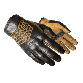 ★ Driver Gloves | Overtake