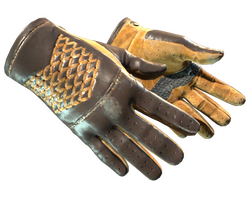 ★ Driver Gloves | Overtake