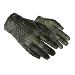 ★ Driver Gloves | Racing Green (Battle-Scarred)