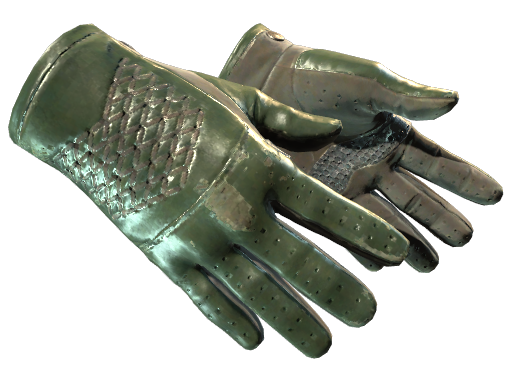Primary image of skin ★ Driver Gloves | Racing Green