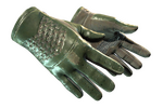 ★ Driver Gloves | Racing Green (Well-Worn)