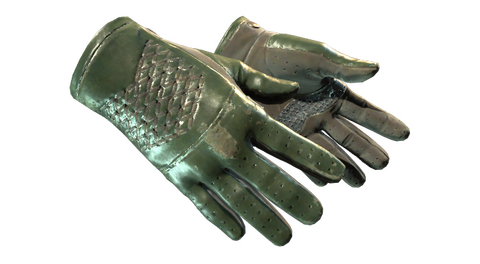 ★ Driver Gloves | Racing Green (Field-Tested)