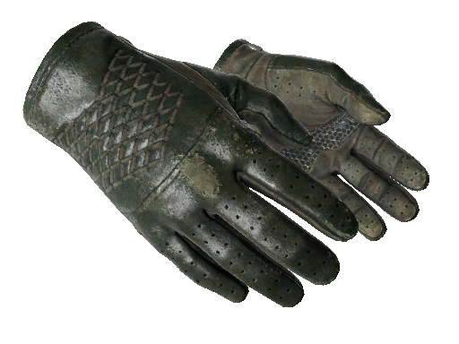 ★ Driver Gloves | Racing Green (Well-Worn)