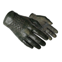 ★ Driver Gloves | Racing Green (Well-Worn)