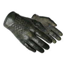 ★ Driver Gloves | Racing Green (Well-Worn)
