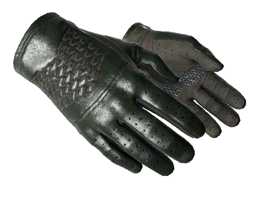 Driver Gloves Racing Green skin on CS GO CS2 Wiki by CS.MONEY