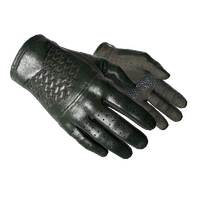 ★ Driver Gloves | Racing Green (Minimal Wear)