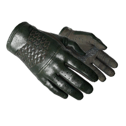 free cs2 skins ★ Driver Gloves | Racing Green (Factory New)