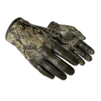 ★ Driver Gloves | Diamondback (Battle-Scarred)