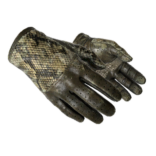 ★ Driver Gloves | Diamondback (Battle-Scarred)