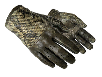 Racing green hot sale gloves csgo