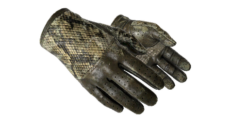 ★ Driver Gloves | Diamondback (Battle-Scarred)