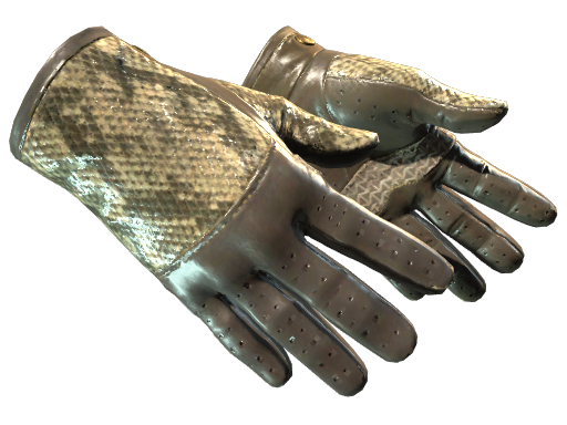 ★ Driver Gloves | Diamondback (Well-Worn)