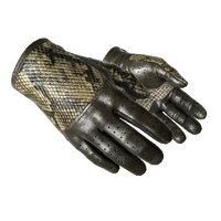 ★ Driver Gloves | Diamondback (Field-Tested)