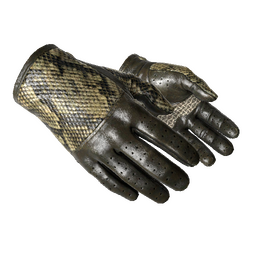 free csgo skin ★ Driver Gloves | Diamondback (Well-Worn)