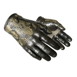 free cs2 skins ★ Driver Gloves | Diamondback (Minimal Wear)