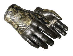 ★ Driver Gloves | Diamondback