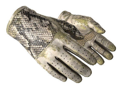 ★ Driver Gloves | King Snake (Battle-Scarred)