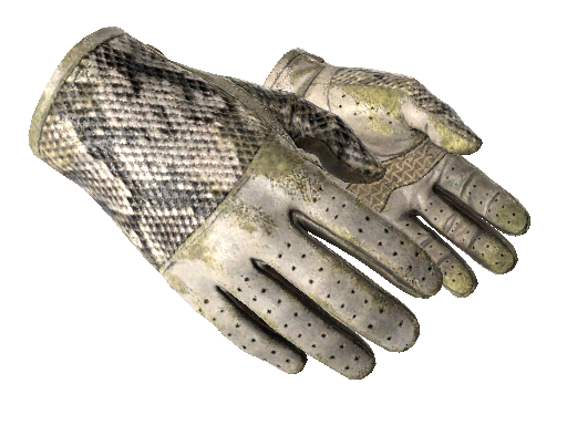 ★ Driver Gloves | King Snake