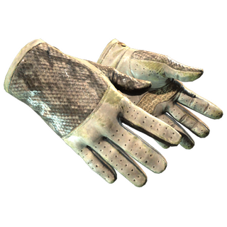 ★ Driver Gloves | King Snake (Battle-Scarred)