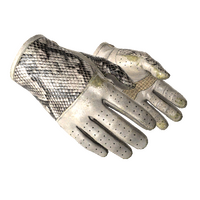 ★ Driver Gloves | King Snake (Well-Worn)