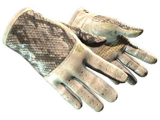 Primary image of skin ★ Driver Gloves | King Snake