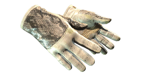 ★ Driver Gloves | King Snake (Well-Worn)