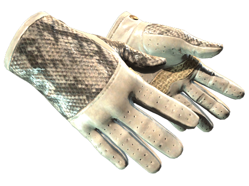★ Driver Gloves | King Snake (Minimal Wear)