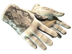 ★ Driver Gloves | King Snake