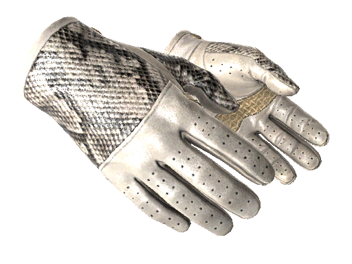 Image for the ★ Driver Gloves | King Snake weapon skin in Counter Strike 2