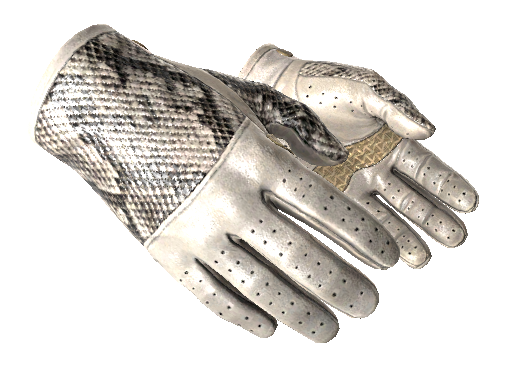 ★ Driver Gloves | King Snake (Minimal Wear)