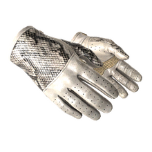 ★ Driver Gloves | King Snake (Minimal Wear)