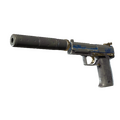 USP-S | Royal Guard (Battle-Scarred)