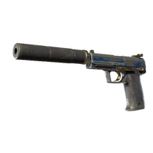 USP-S | Royal Guard (Battle-Scarred)