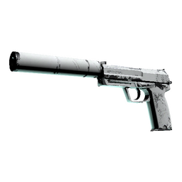 free cs2 skins USP-S | Whiteout (Well-Worn)