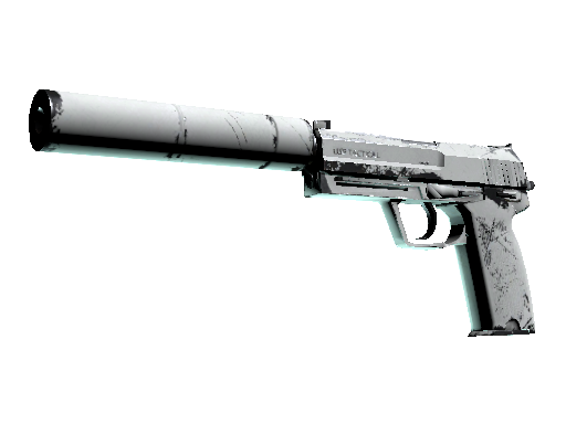 USP-S | Whiteout (Well-Worn)