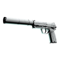 USP-S | Whiteout (Well-Worn)