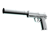 USP-S | Whiteout (Minimal Wear)