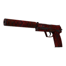 USP-S | Check Engine (Well-Worn)