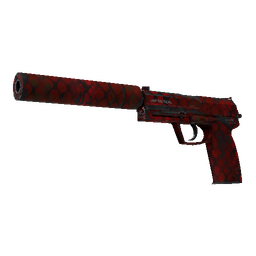 free cs2 skins USP-S | Check Engine (Well-Worn)