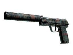 Souvenir USP-S | Ancient Visions (Minimal Wear)