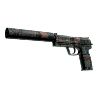 USP-S | Ancient Visions (Factory New)