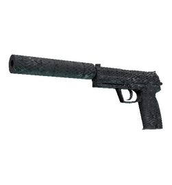 weapon skin