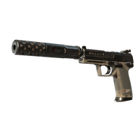 StatTrak™ USP-S | 27 (Field-Tested)