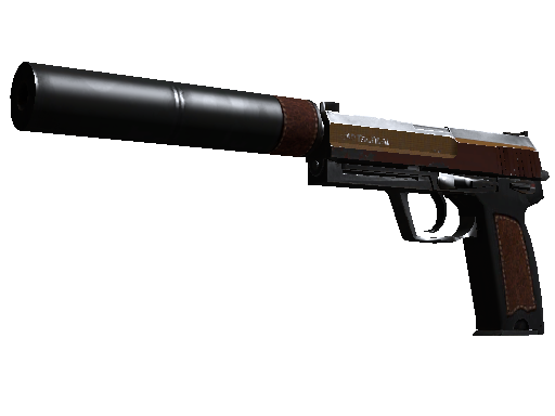 USP-S | Clase preferente (Bastante desgastado)