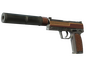 USP-S | Business Class