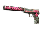 USP-S | Cortex (Well-Worn)